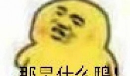 吃瓜震惊表情包包,揭秘网络热词背后的潮流文化