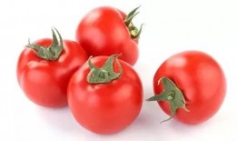 小云吃瓜番茄,一场别开生面的吃瓜体验