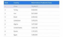 吃瓜的国家排名,揭秘各国人民热衷的瓜类文化排名