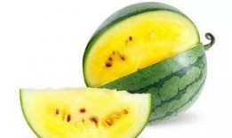 郑州城轨吃瓜,揭秘地铁内惊人一幕