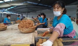 吃瓜江幼,揭秘“吃瓜江幼”背后的故事与影响