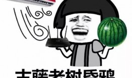 靠意念吃瓜,揭秘如何仅凭意念吃瓜的神奇体验