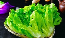 中午吃生菜和蟹瓜,夏日午后的清新美味之旅