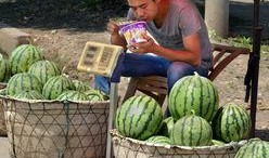 饿着吃瓜,揭秘娱乐圈背后的真相