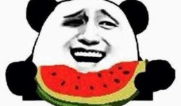 快乐吃瓜的吃瓜群众,揭秘吃瓜群众的欢乐生活