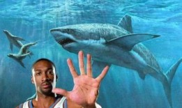 鲨鲨太子清华吃瓜