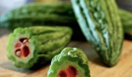 避雷吃瓜到自己,揭秘网络时代的娱乐新趋势