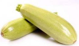 孕晚期吃白瓜好吗,孕晚期食用白瓜的益处与注意事项