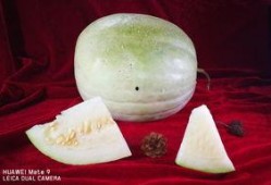 产妇可以吃三白瓜吗