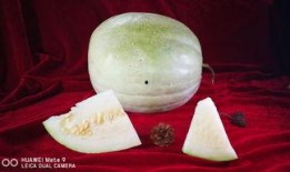 产妇可以吃三白瓜吗