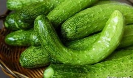 ulc吃瓜,揭秘娱乐圈背后的那些事儿