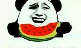 吃瓜是褒义还是贬义,揭秘网络热词的多元内涵