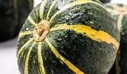 曹县吃瓜事件汇总