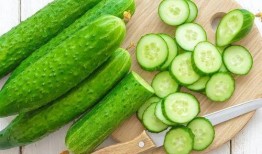 吃毒瓜的危害,揭秘食用有毒瓜果的严重后果