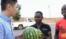 美国人吃生瓜,美国人的生瓜饮食习惯探秘