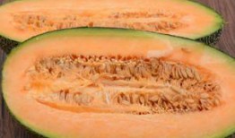 梦见与同事吃哈密瓜,与同事共享哈密瓜的温馨瞬间