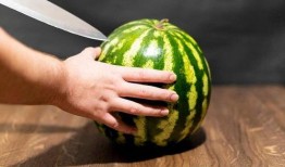 hello吃瓜上墙,网络热词背后的故事与影响