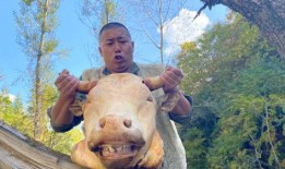 大海哥龇牙吃瓜