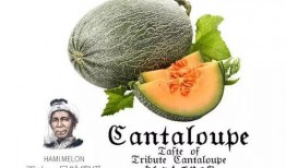 吃瓜号都真实吗,真实与虚构的边界