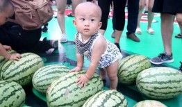 吃瓜总汇集,盘点娱乐圈那些年我们追过的热点事件