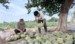 有客与吃瓜,吃瓜群众齐聚一堂