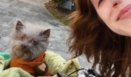 吃瓜八婆,吃瓜八婆带你领略明星幕后故事