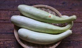 吃瓜100斤,吃瓜达人挑战100斤瓜果盛宴