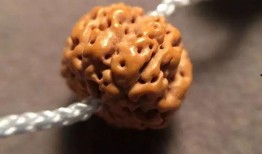 菩提静静吃瓜,吃瓜群众的智慧与趣味