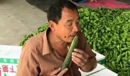 搬砖吃瓜人,人生百态的写实画卷