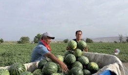 吃瓜的拍照,捕捉夏日吃瓜瞬间