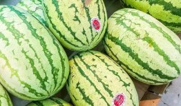 做吃瓜引流,揭秘吃瓜群众的引流秘密