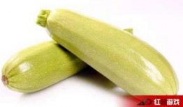 白瓜孕妇可以吃么,安全与营养两不误