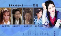 大漠吃瓜小说后续,揭秘神秘家族的传奇故事