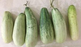 吃瓜大成,娱乐圈幕后那些事儿