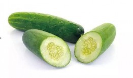 减肥吃双瓜,轻松开启健康减肥之旅