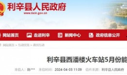 吃瓜入口网页,网络热词背后的文化现象