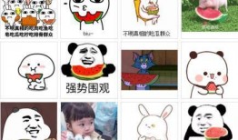 瓜瓜吃瓜好词好句,乐享好词好句盛宴