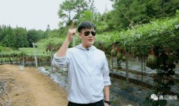 代吃王大山吃瓜,揭秘网络红人吃瓜背后的故事