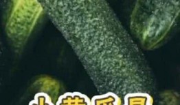 饿着吃瓜,揭秘娱乐圈背后的真相