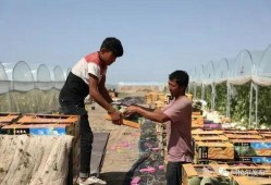 吃瓜群众准备就位,揭秘娱乐圈最新热点！