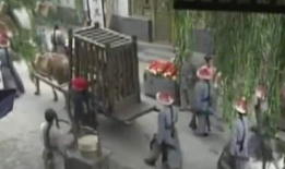 流放吃瓜,吃瓜群众的热议焦点