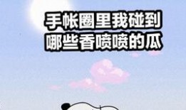 手帐吃瓜bot,揭秘娱乐圈幕后故事，带你领略手帐与娱乐的完美融合