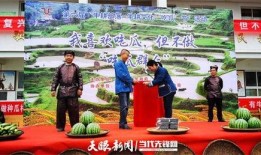 吃瓜节图,一场视觉与味蕾的双重盛宴