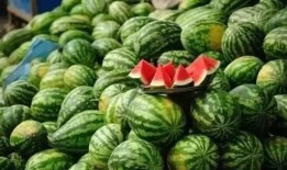 洨瓜怎么吃,探索美味与健康的完美结合