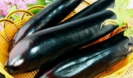 茄子视频吃瓜晨曦,揭秘娱乐圈幕后故事