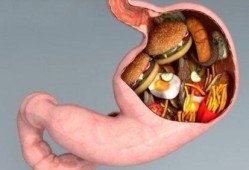 袖状胃术后吃瓜,健康与美味的平衡之道