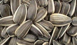 葵瓜尖咋吃,葵瓜尖的多样食用方法探索