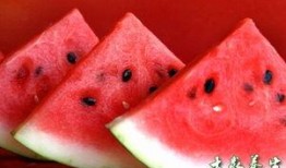 吃西瓜果瓜,西瓜果瓜的甜蜜诱惑