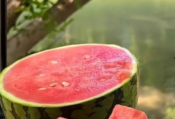 手机吃瓜的图片,揭秘娱乐圈幕后真相