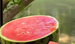 手机吃瓜的图片,揭秘娱乐圈幕后真相